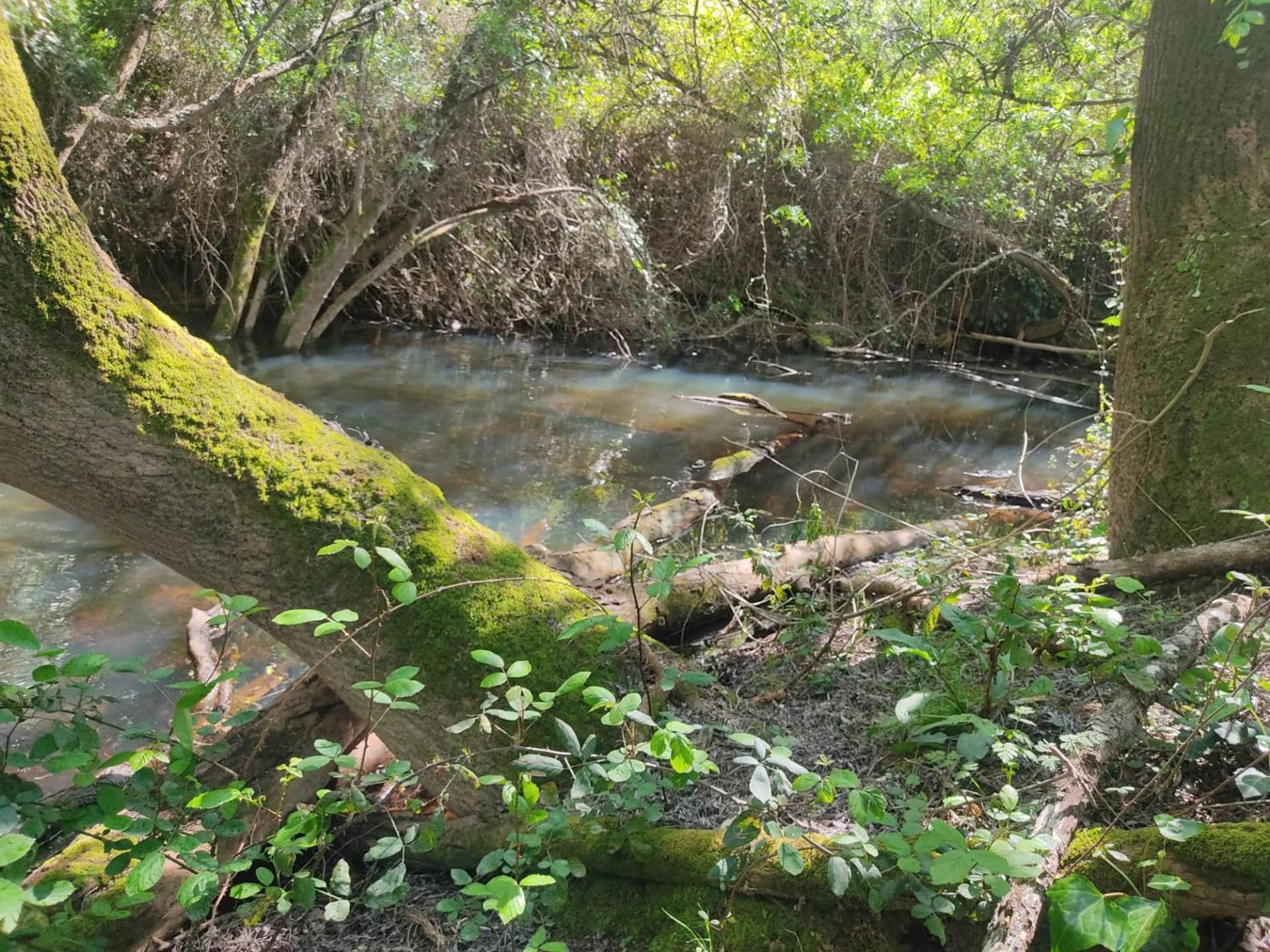 Herdade Da Maceira Villa São Luis Exteriör bild