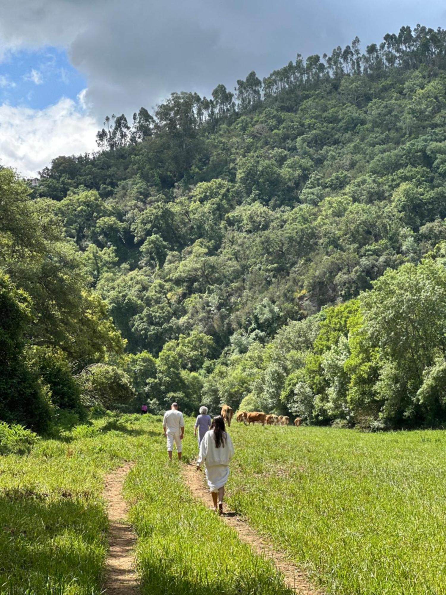 Herdade Da Maceira Villa São Luis Exteriör bild